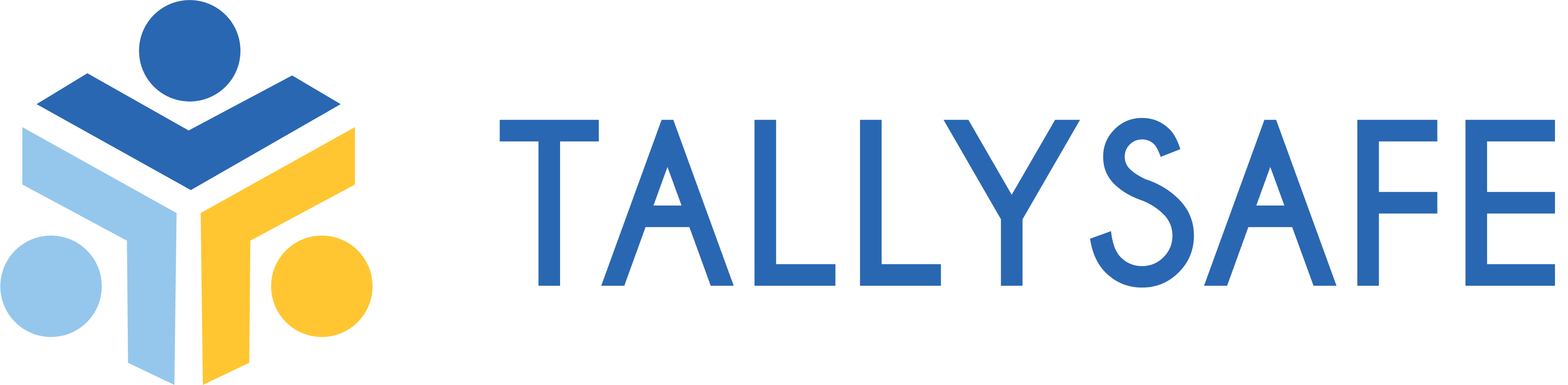 Tally Safe